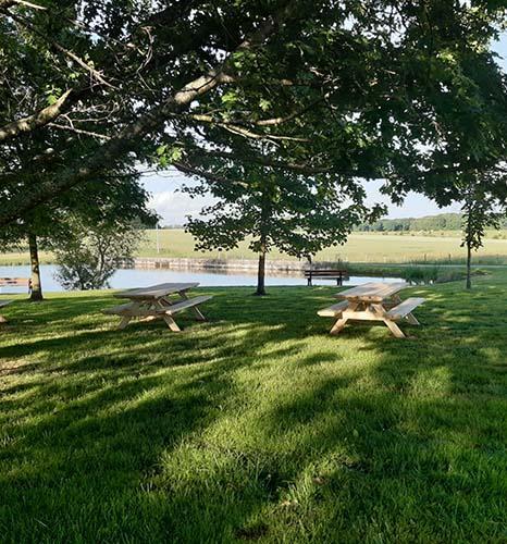 O'Complexe Francourt